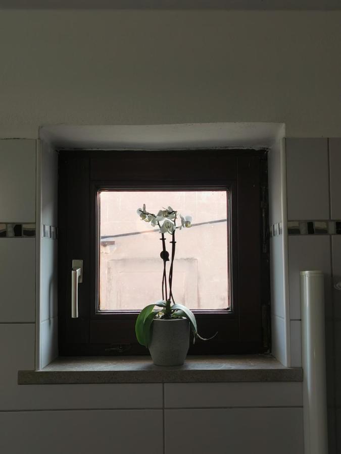 Istrian Old Town Apartment Koper városi község Kültér fotó